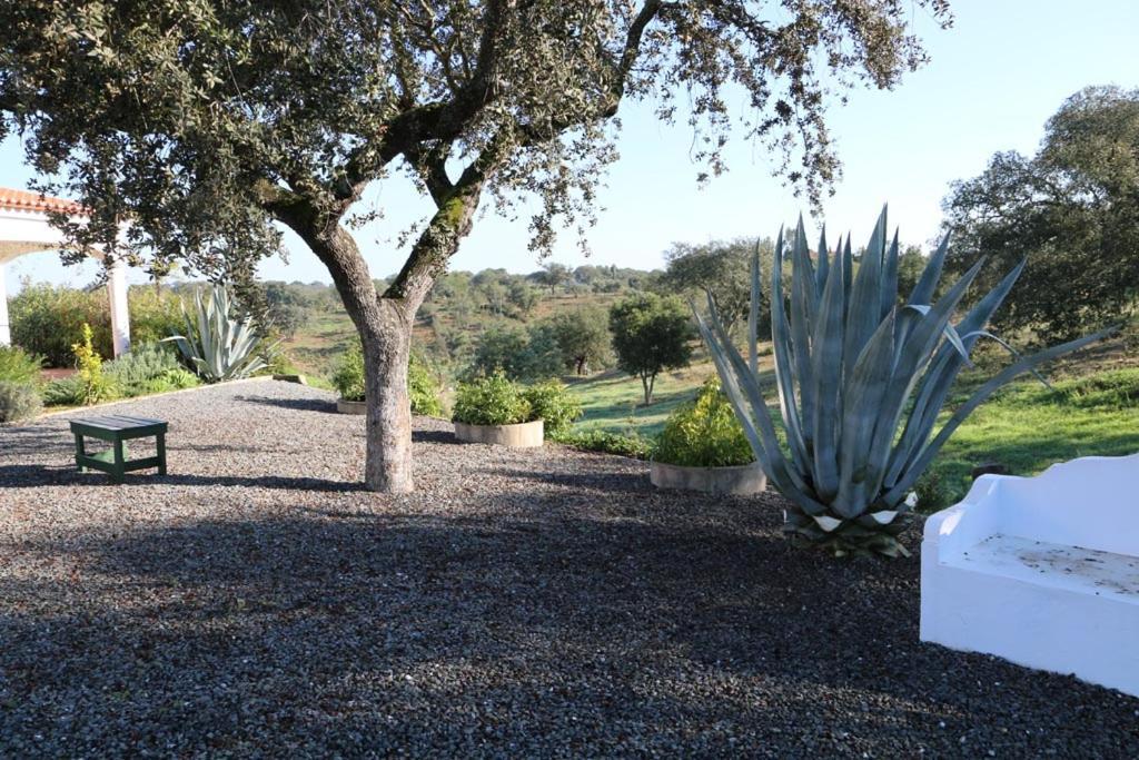 Monte Novo Da Sobreira, Rust En Ruimte In Zuid Alentejo Apartment Ourique Luaran gambar