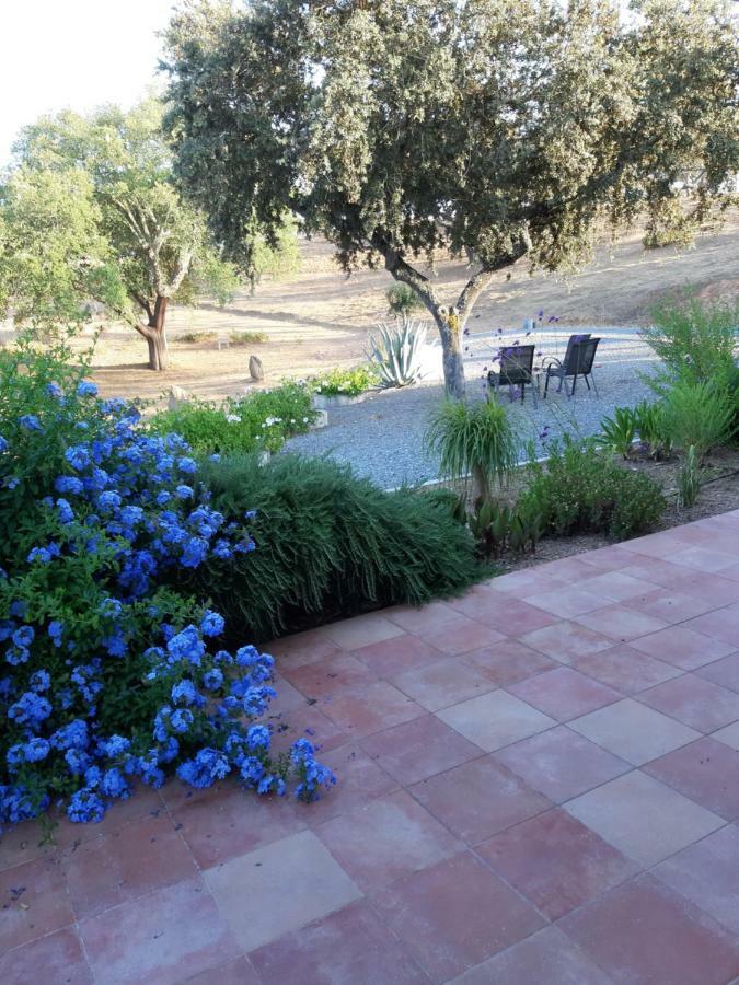 Monte Novo Da Sobreira, Rust En Ruimte In Zuid Alentejo Apartment Ourique Luaran gambar